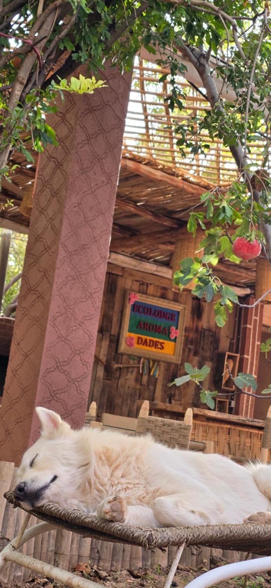 Ecolodge Aroma Dades El Hart Bagian luar foto